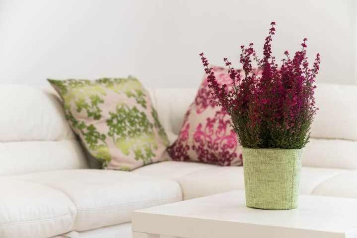 Mediterranean House Nettunoアパートメント エクステリア 写真